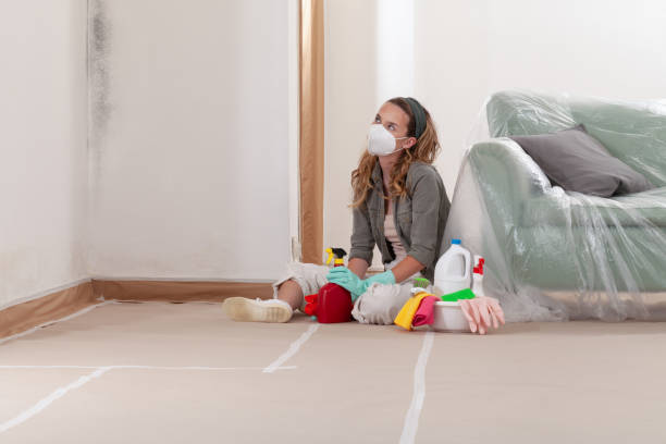 Reliable Mold Removal contractor in Alpharetta, GA by WQB Mold Removal